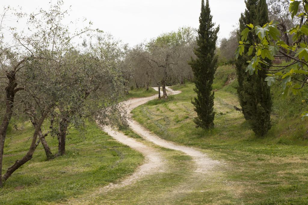 Agriturismo Borgo Personatina Sovicille Exterior photo